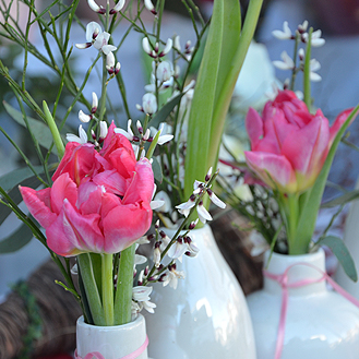 Arrangement mit gefüllten Tulpen und Ginster